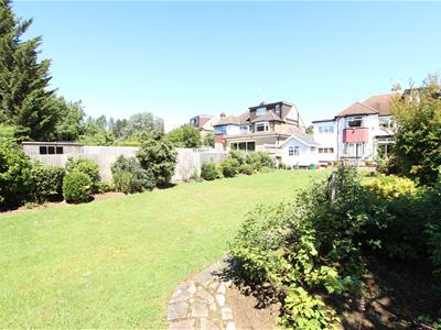 Picture 21